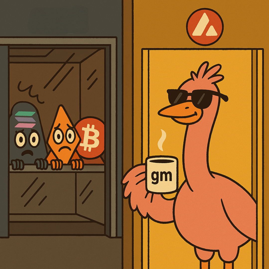 COCO community early access